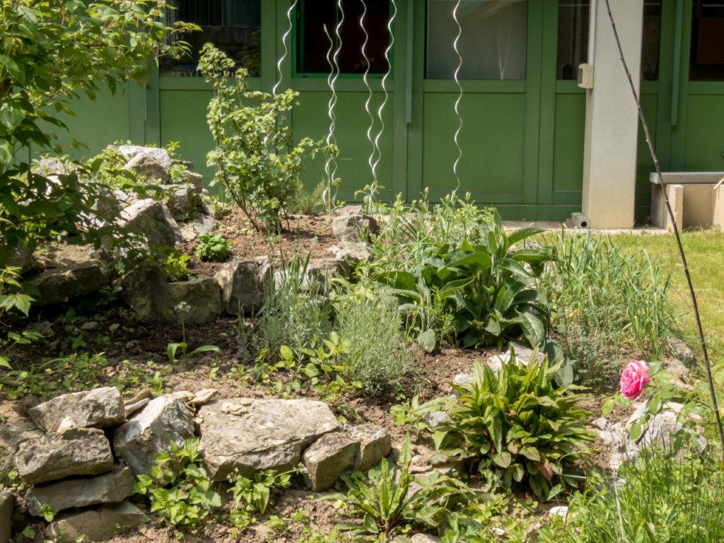 garten 1