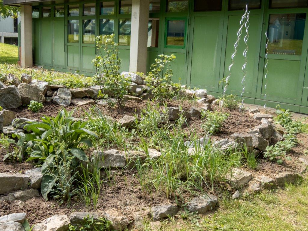 garten 3