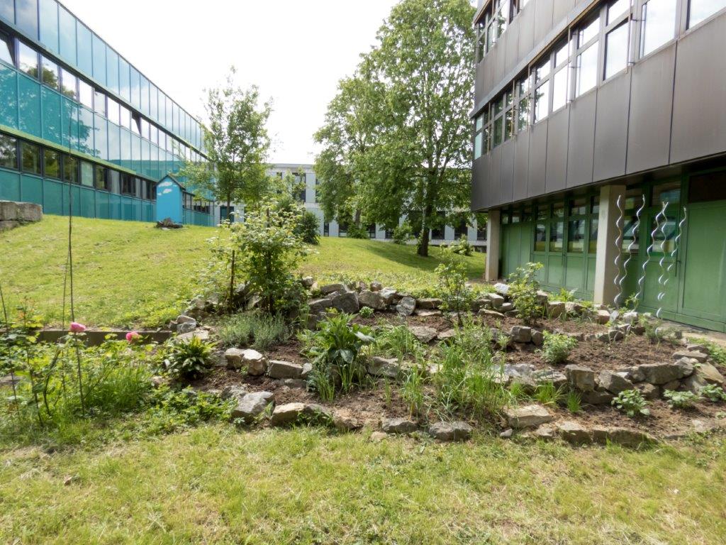 garten 4